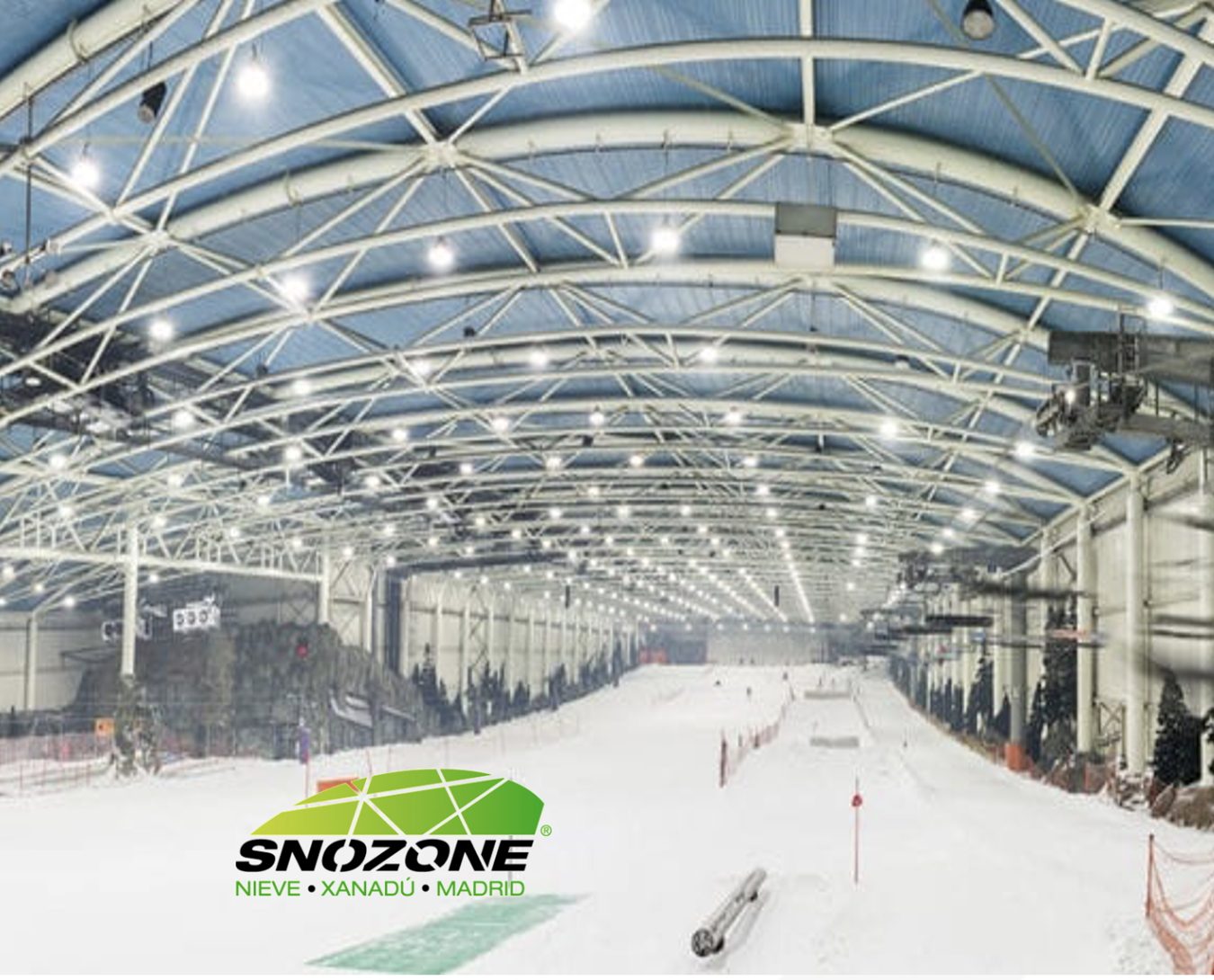 Entrenamiento de Alpino Ski Pro en Snozone Madrid
